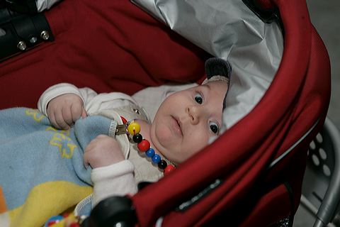 _p2j5775.jpg